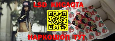 индика Абакан